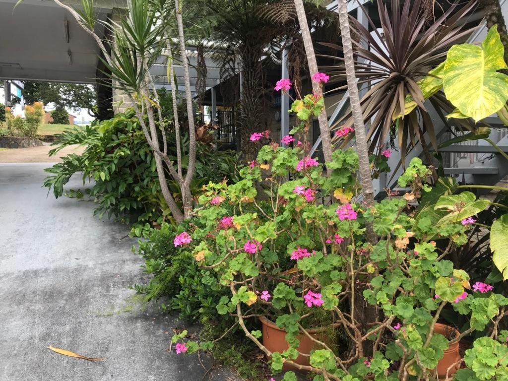 Coffs Shearwater Motel Кофс Харбър Екстериор снимка